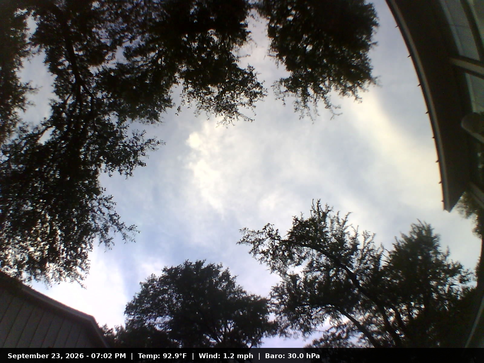 Live Weather Snapshot